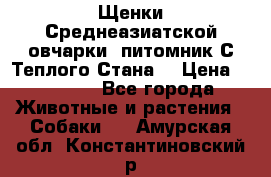 Щенки Среднеазиатской овчарки (питомник С Теплого Стана) › Цена ­ 20 000 - Все города Животные и растения » Собаки   . Амурская обл.,Константиновский р-н